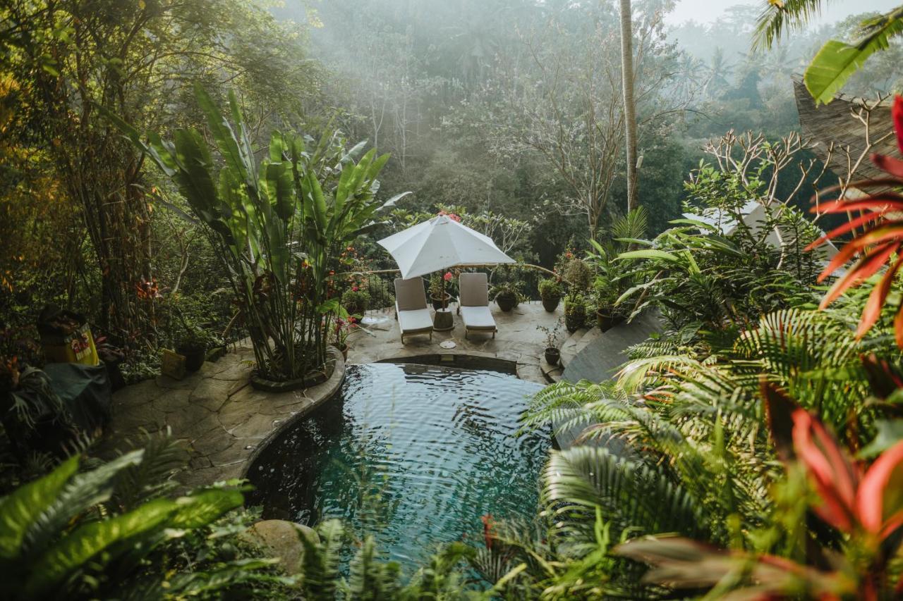 Villa Ananda House 3bds Eco Bamboo House Pool River View *